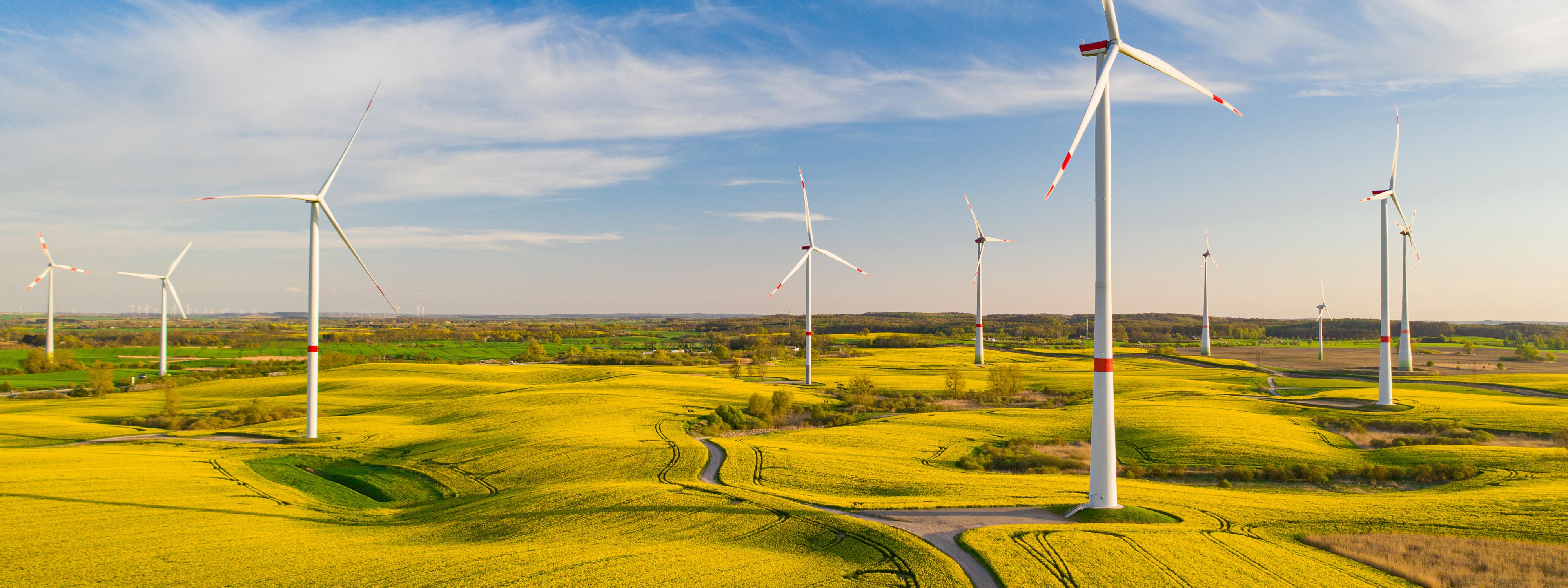 Windpark im Grünen mit mehreren Windenergieanlagen